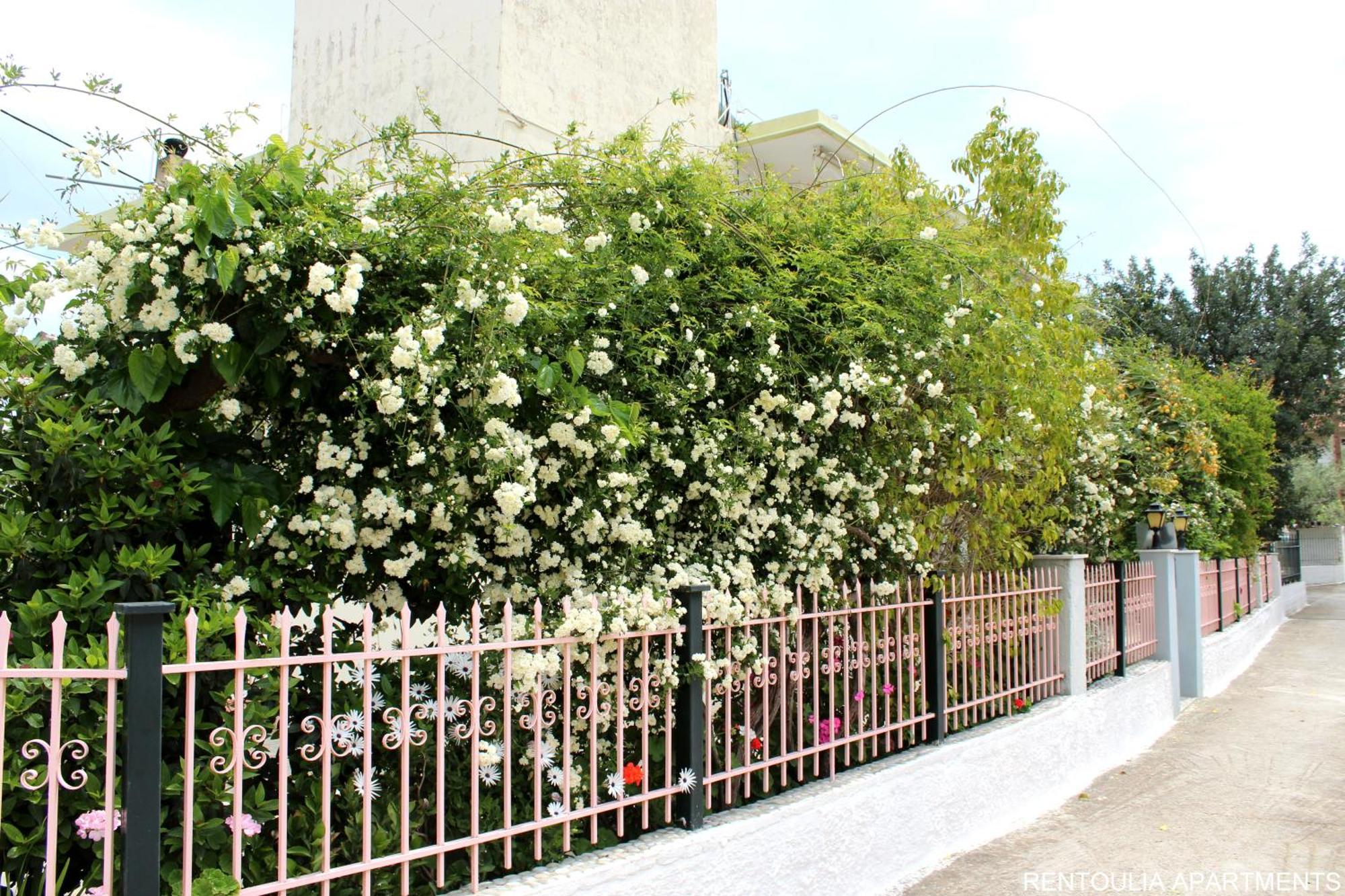 Rentoulia Apartments Poúlithra المظهر الخارجي الصورة